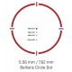 SIG SAUER ROMEO8H Red Dot Ballistic Circle Dot