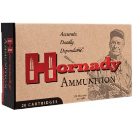 Hornady 300 Blackout 135 gr. FTX